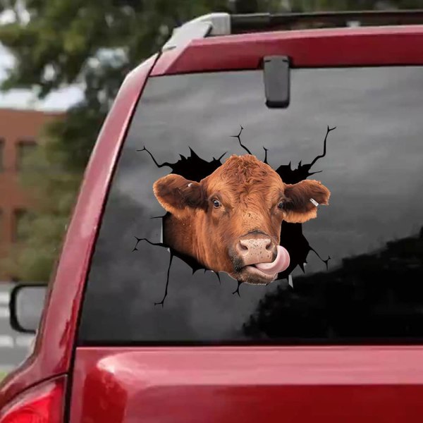 Autotarra - Lehmä