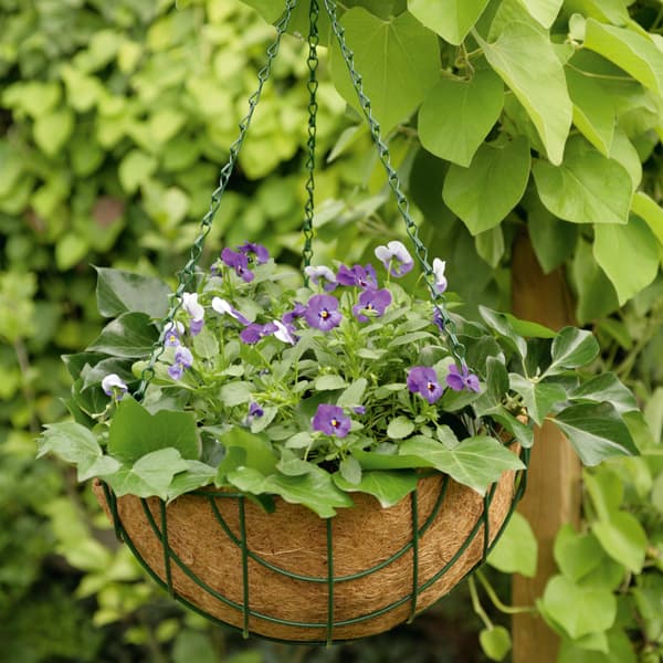 Kinzo Garden Aitaaminen kookospähkinäpotti