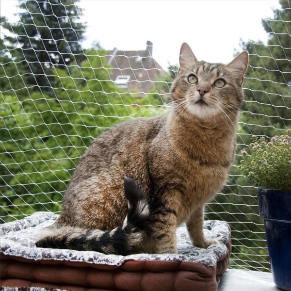 Skyddsnät för katt