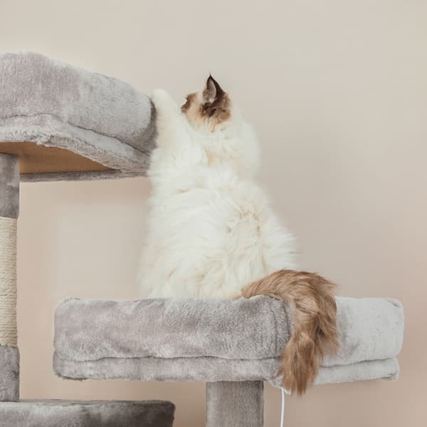 Tukeva ja korkea raapimispuu kissoille – 206 cm, 5 tasoa, sisal