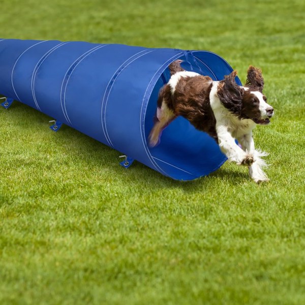 Hundtunnel för Agility 48cm x 3m