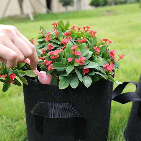 Odlingssäck / Planteringspåse med handtag - 5-pack