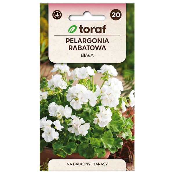 Zonalgeranium frø hvid - Pragtfuld blomstring til krukker og be