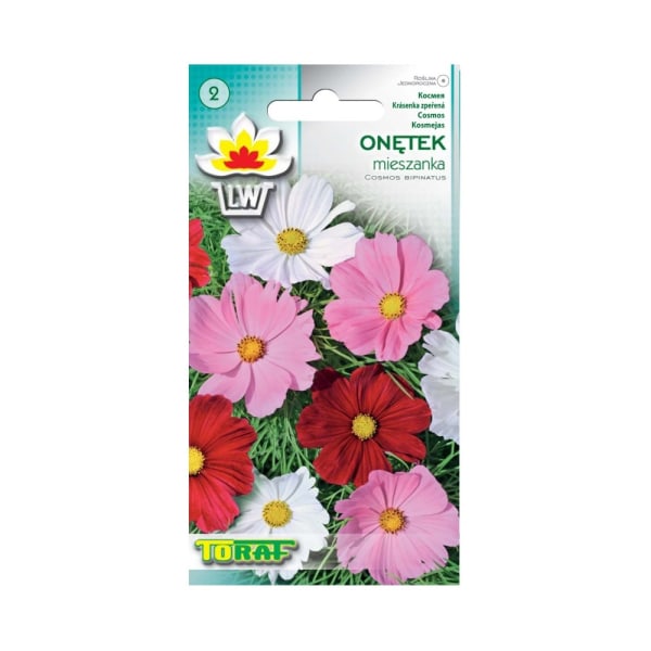 Meksikolainen Asteri Cosmos