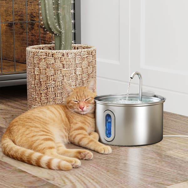 Dricksfontän för husdjur 2,5 L - vattenfontän / kattfontän / dj
