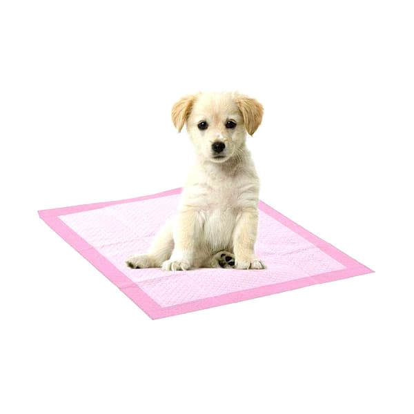 10-Pack Valpmatta 33x45cm