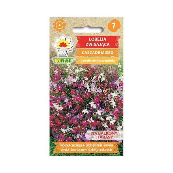 Riippulobelia Cascade Mix