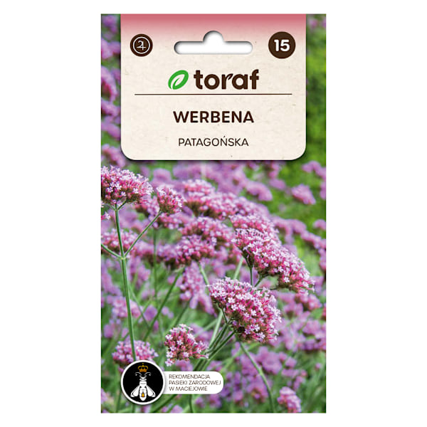Frø af kæmpeverbena - Lang blomstrende staude, der tiltrækker b