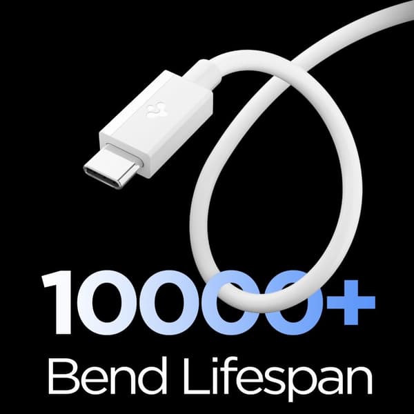 Spigen 1m 60W USB-C Kabel Essential Vit
