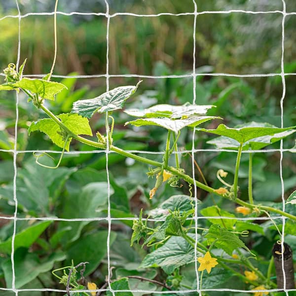Plant Mount Climbing Garden Support Net Planter Tent 1.6 * 20m (White), Heavy Duty Polyester Garden Plant Climbing Net Soft Net Rope