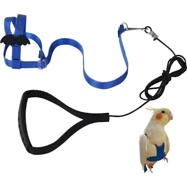 Adjustable Parrot Harness Pet Leash Anti-bite Rope Elastic Band for Birds Parrots Cockatoos Macaws
