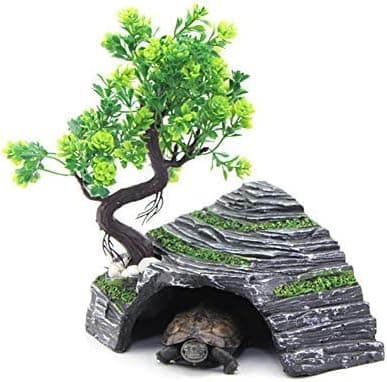 Reptilskydd - Terrarium - Gömställe - Sköldpaddsramp - Plattform