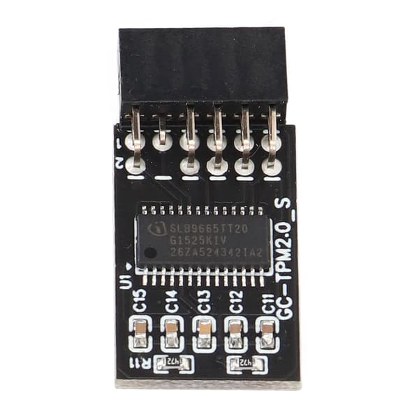 TPM 2.0 Modul LPC SPI 12Pin Fjernkort Krypterings Sikkerhetskort Tilbehør for GIGABYTE