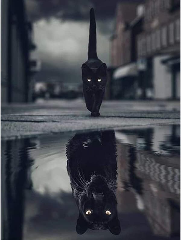 30*40cm Svart Katt Panter Dyr Refleksjon Diamantmaling Korssting