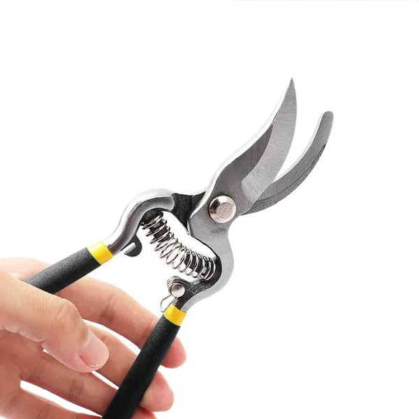 Arbejdsbesparende beskæresaks, bonsaisaks