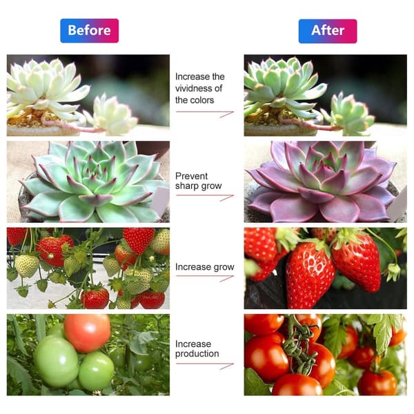 Waterproof Plant Light, 3m Plant Packaging Kit for Plant Growth