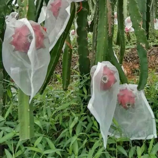 100-pack insektsnätpåsar - för att skydda blommor och frukter