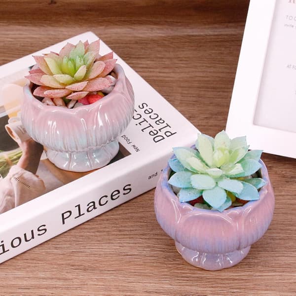 Creative Ceramic Succulent Pots, Perfect for Potted Plants and Home Decor, Set of 2