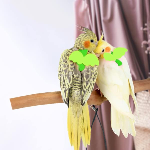 Harness and Leash for Pet Parrots, Adjustable Anti-Bite Training Design