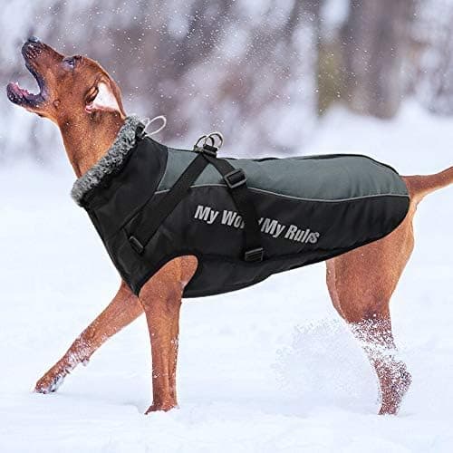Vinterjakke til hund, varm, vandtæt, reflekterende, justerbar, blød, XL, grå
