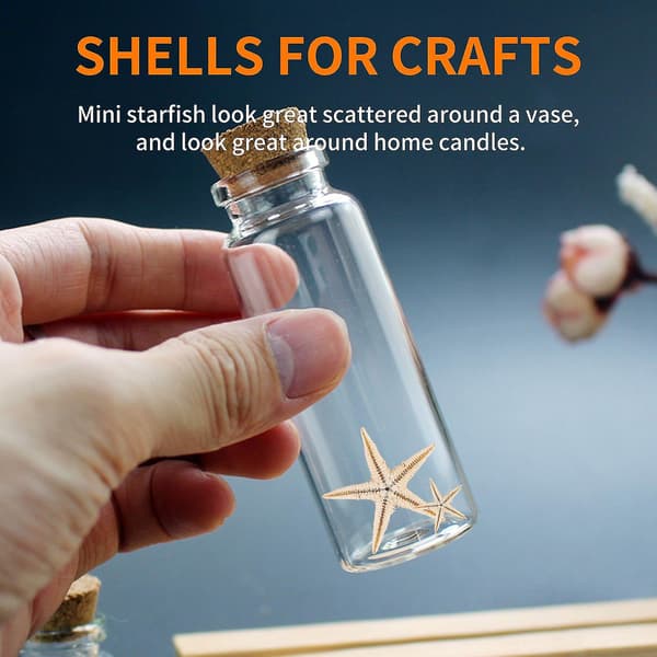 Small Starfish, Seashells, Beach Crafts, 0.4 inch-1.2 inch, 90 pcs