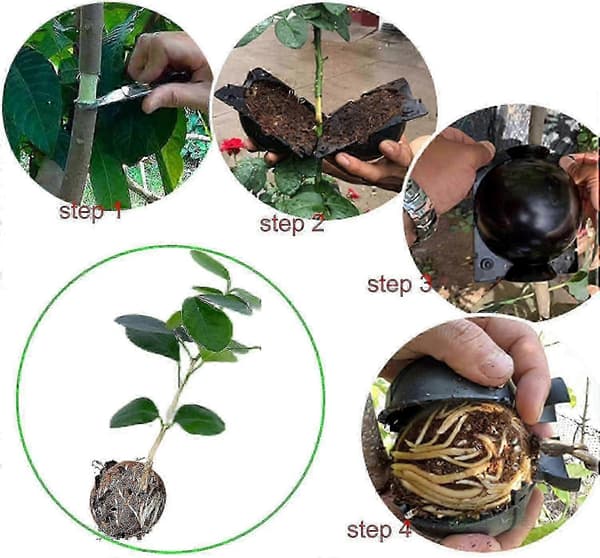 10-pack Tree Root Plant Box, Rooting Ball Grafting Tool, Reusable High-Pressure Air Layering Propagation Kit