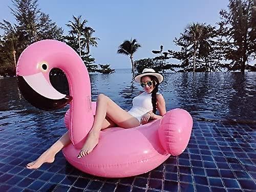 Flamingo Pool Flydende Svømmebassin
