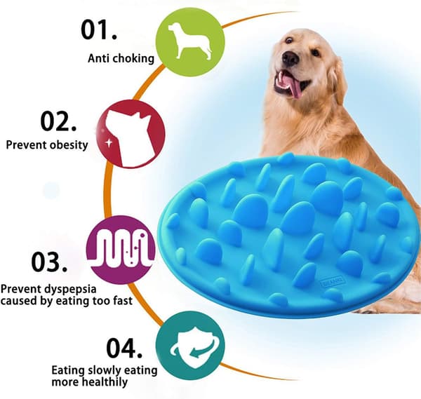 Slow Feeder Dog Bowl and Interactive Silicone Non-Slip Pet Bowl