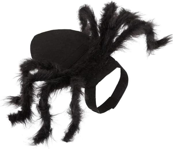 Halloween Dekoration Husdjurskläder Spindel Valp Katt Skräck