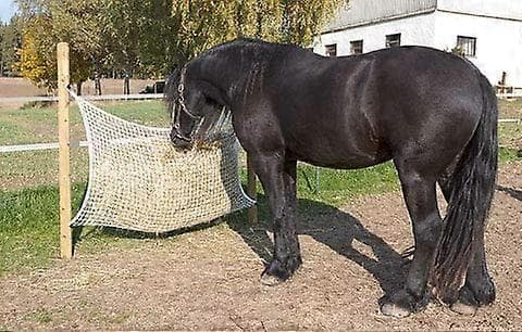 Hay net with small meshes for medium-sized horse, 3x3cm 120x90cm, White