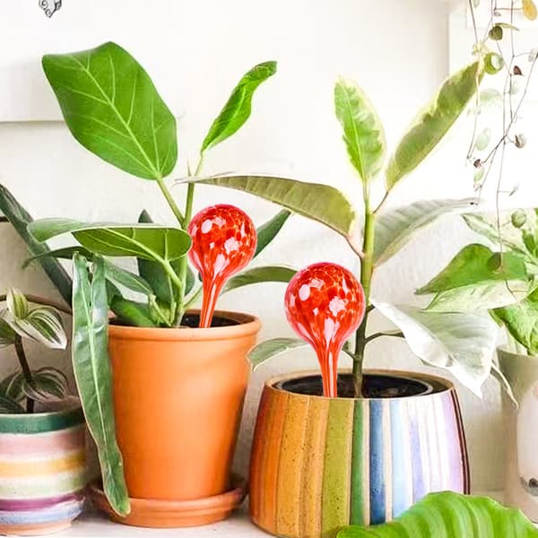 Vanningskuler Sett med 2, Planter og Blomster Vanndispenser, Kontorverktøy, Ø 6 cm, Lilla