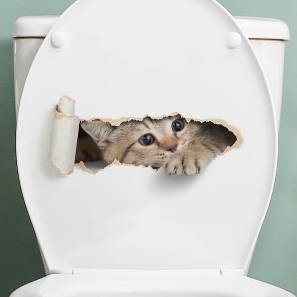 Sarjakuvakissa Reikä WC-tarra