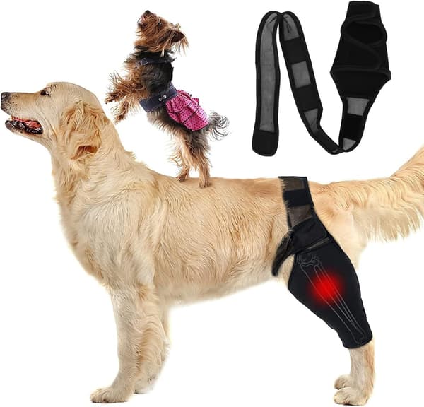 Dog Elbow Brace, Dog Compression Knee Brace, Elbow and Shoulder Support, Dysplasia, Arthritis, Elbow Calluses, Pressure Sores, Shoulder Dislocation (M)