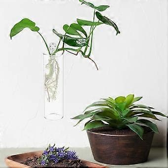 2 Pcs Wall Vase Hanging Planter Wall Mounted Vase Glass Container Flower Planter for Home