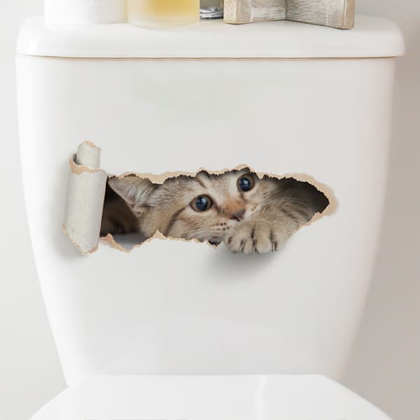 Sarjakuvakissa Reikä WC-tarra