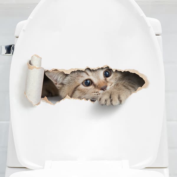 Tecknad Katt Hål Toalettdekal