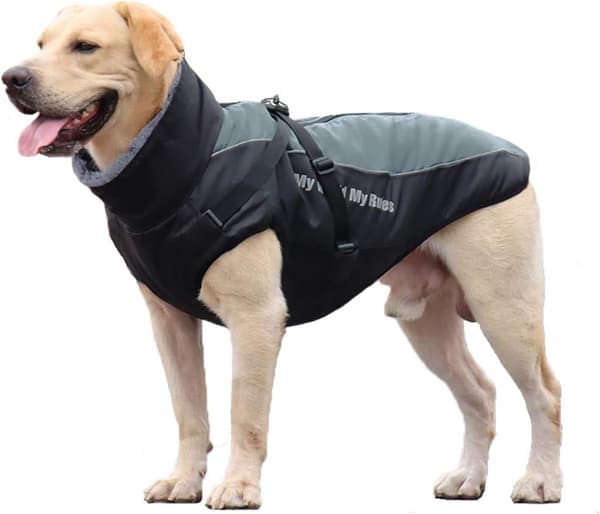Vinterjacka för hund, varm, vattentät, reflekterande, justerbar, mjuk, XL, grå