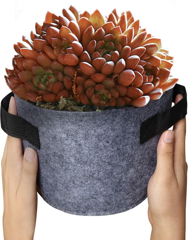 8-pack Durable Fabric Grow Bags with Handles for Vegetables, Flow