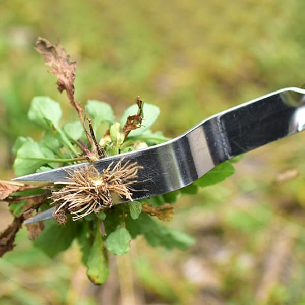 Stainless Steel Garden Tools Root Tool Garden Weeder Weeder Plant Fork