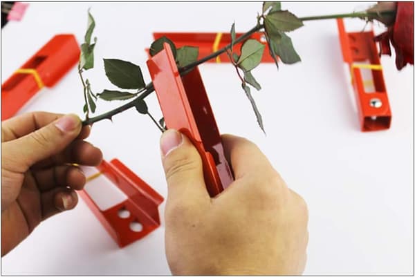 /#/DIY Trimværktøj Florist Metal Gardon Blomst Rose Torn Stamme/#/