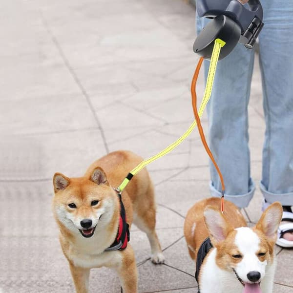 3m hundkoppel rullkoppel infällbart koppel dubbelkoppel 2 hundkoppel LED-ljus