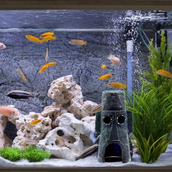 Akvariedekoration, akvariedekorationer, akvarium
