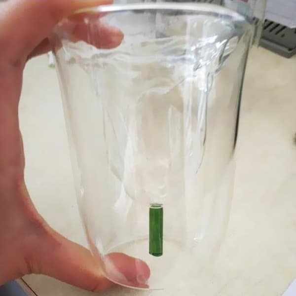 (120 ml) (White) 1 Pcs Creative Double Walled Rose Cup High Borosilicate Glass Shaped Cup