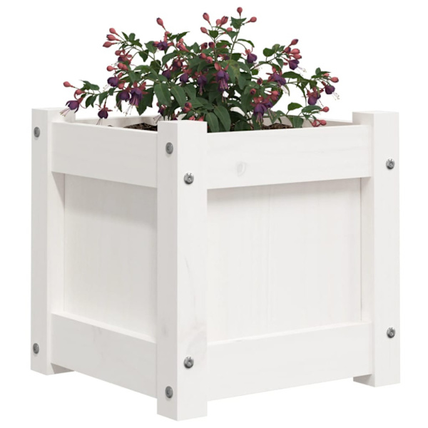 Plant box white 31x31x31 cm solid pine