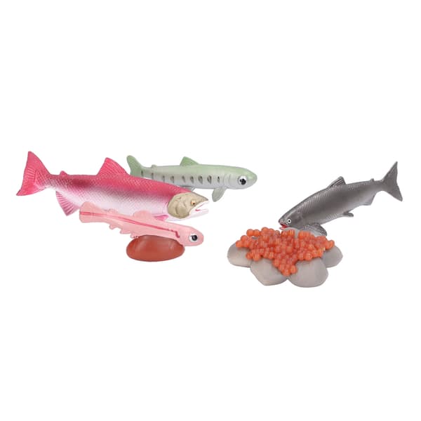 Growth Cycle Model Vinyl Material Safe Odorless Vivid Real Salmon Wildlife Cycle Model for Over 3 Years Old