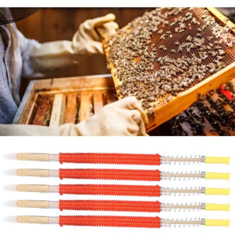 25 Pieces Beekeeping Larva Grafting Needles Queen Bee Rearing Tool Beekeeping Equipment