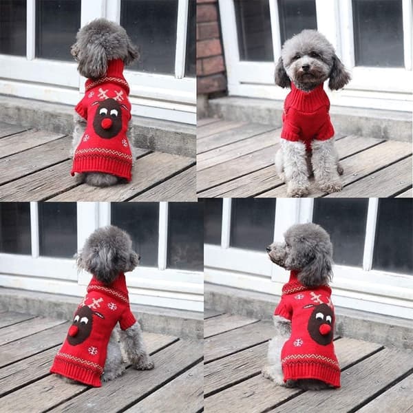 Varmt tøj til hund og kat julekostume halloweenkostume