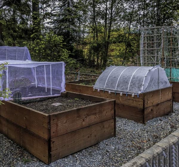 Garden Insect Net: 3 x 4 m Fine Mesh Protection for Leeks, Orchard Cultivation, Plant Veil White