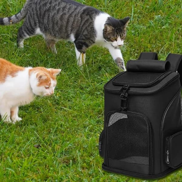 Expandable Pet Backpack, Breathable Mesh Cat Backpack, Foldable Dog Backpack for Small Dogs, Rabbits, Puppies Black