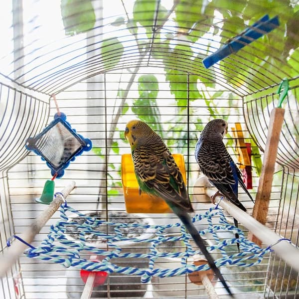 Small Pet Hammock, Climbing Net and Swing for Birds, Blue, 32x25cm